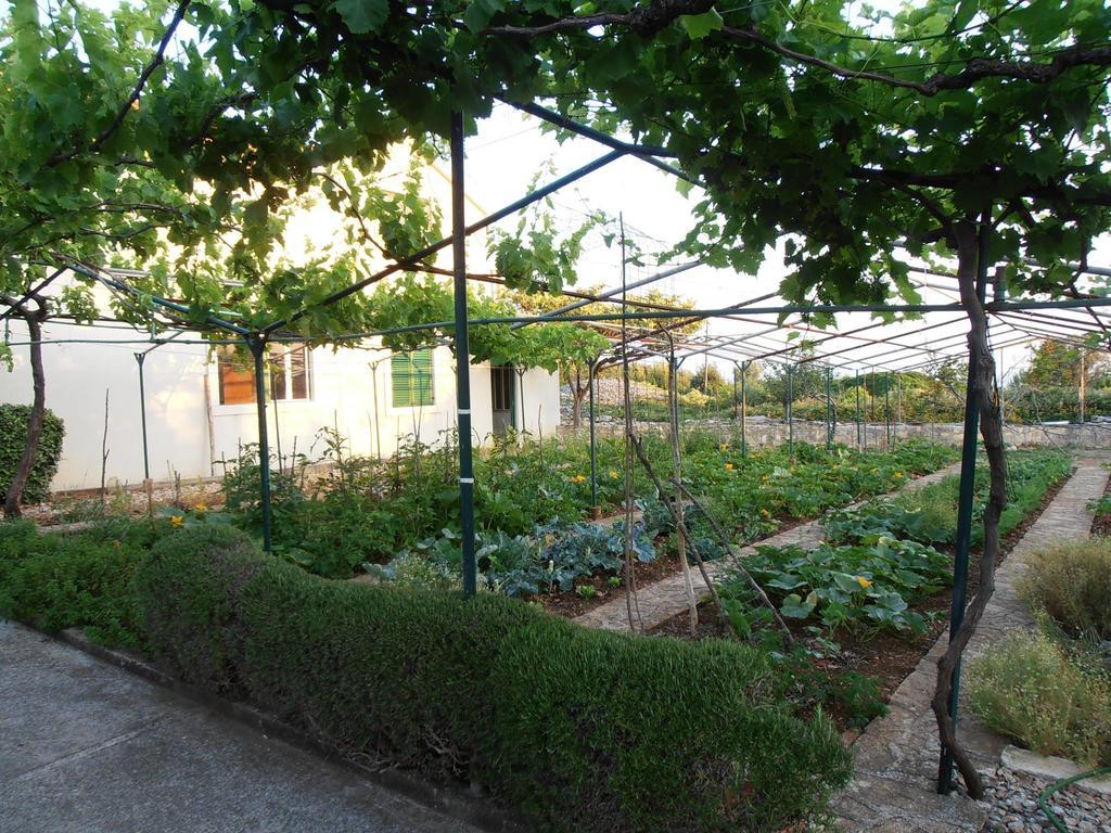 Jenny'S House Apartment Supetar Exterior photo
